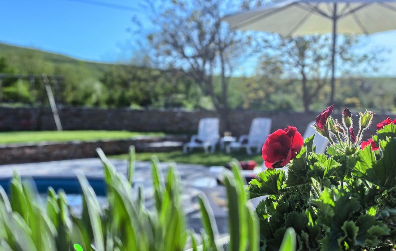 Dalmatia Stone House - Heated Pool Guest House Biorine Ngoại thất bức ảnh